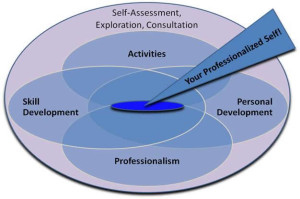 Professional Development Diagram